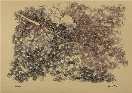 DISEGNO VESUVIO DI LUIGI MAINOLFI