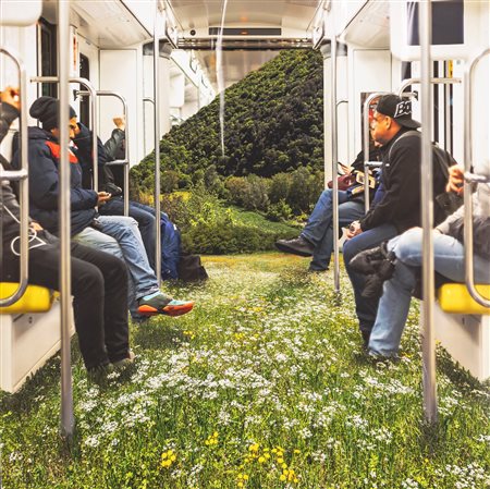 Charlie Davoli (Singapore, 1976 - ) The absence of harmony between the...