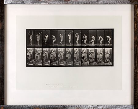 Eadweard Muybridge (Kingston upon Thames, 1830 - Kingston upon Thames, 1904)...