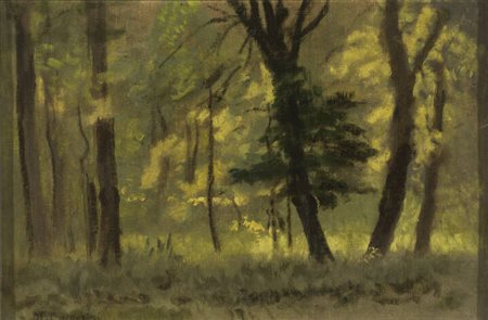 MARCO CALDERINI<BR>Torino 1850 - 1941<BR>"Bosco"