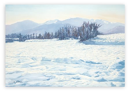 BRUNA RICCI - Senza Titolo