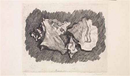 Morandi, Giorgio(Bologna 1890 - 1964)NATURA MORTA CON CONCHIGLIE....