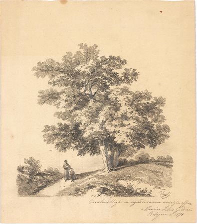 Vighi, Coriolano(Firenze 1852 - Bologna 1905)PAESAGGIO CON GRANDE...