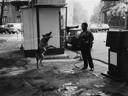 Sasha Borodulin (XX sec.)  - Silly dog, Milan, 1980s