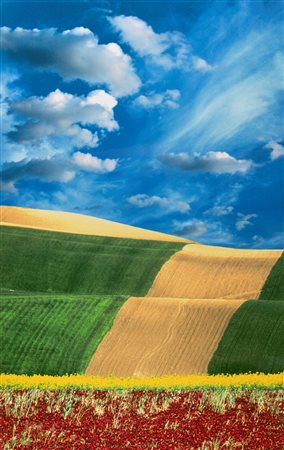 Franco Fontana (1933)  - Senza titolo (Paesaggio), 2000