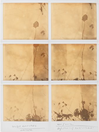 Maurizio Galimberti (1956)  - Studio Antibes, 2002