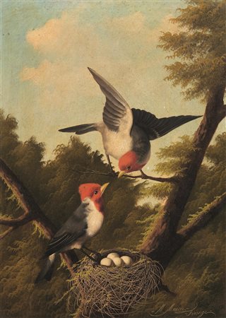 Michelangelo Meucci(Firenze 1840 - 1909)NIDO DI PICCHI ROSSIolio su tela, cm...