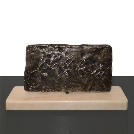 Lucia Ragusa (Catania)  - Vegetazione