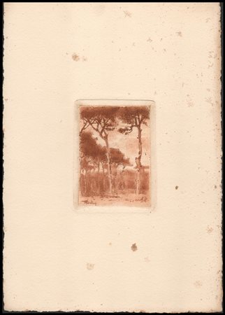 Francesco Vitalini (1865-1904) La pineta di Ravenna Vernice molle ad...