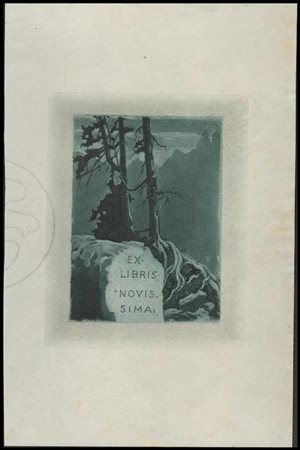 Francesco Vitalini (1865-1904) ExLibris Novissima Acquatinta ad inchiostro...