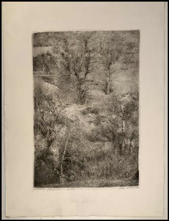 Giovanni Barbisan (1914-1988) Paesaggio boschivo, 1663 Acquaforte, 500 x 340...