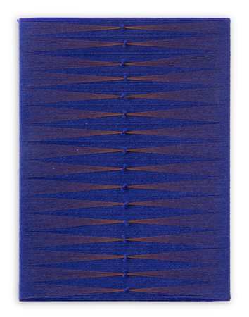 MARCO QUERIN (1978) - N.89 Vite speciali, 2008