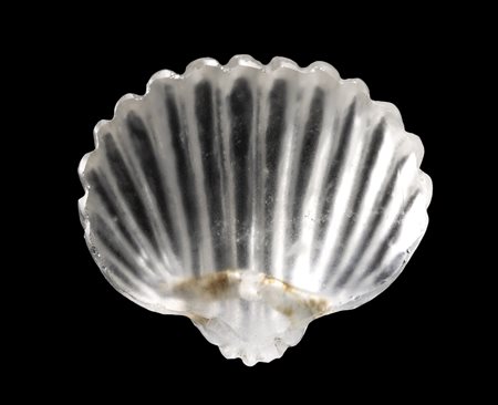 A RARE ROMAN ROCK CRYSTAL SHELL. | BERTOLAMI FINE ARTS | ArsValue.com