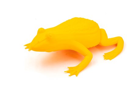 CRACKING ART GROUP (1983) - Rana