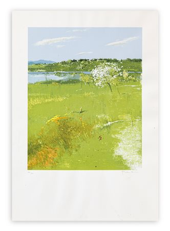 ANTONIO PEDRETTI (1950) - Verde Lago, 1995