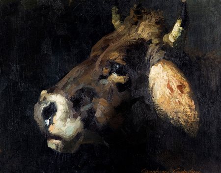 Gianfranco Campestrini (Milano 1901-1979)  - Testa di mucca