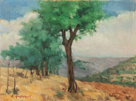 Ettore Montanari (Modena 1873-1962)  - Alberi in collina