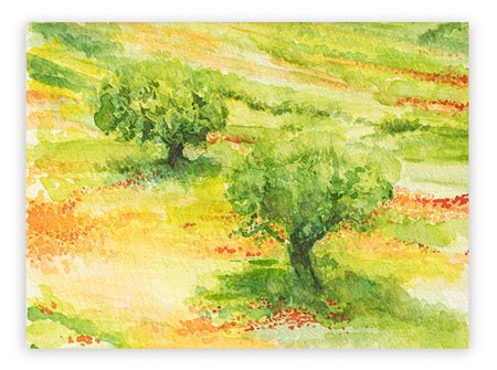 MIRELLA LANFRANCHI - Senza Titolo