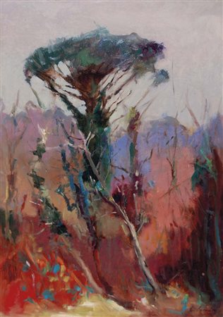 SAMORI' EGIDIO Forlì Secolo XX Pino solitario 1973 olio su masonite 70x50...