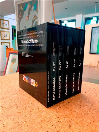 MARIO SCHIFANO - Studio metodologico riguardante la catalogazione informatica dei dati relativi alle opere di Mario Schifano presenti presso la Fondazione M.S. Multistudio