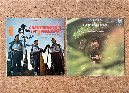 VINILI - LP 33 GIRI - Lotto unico di 2 vinili - lp 33 giri