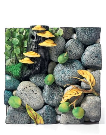 Piero Gilardi Torino 1942 Funghi e noci sul greto Poliuretano espanso...