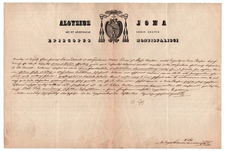 Luigi Jona (Trevi nel Lazio 1811 - Montefiascone 1863), Tuscia. Storia di una vedova (quasi) allegra