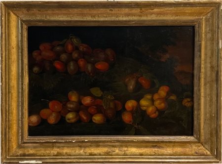 Scuola romana del secolo XVII
"Composizione di frutta all'aperto"
olio su tela,