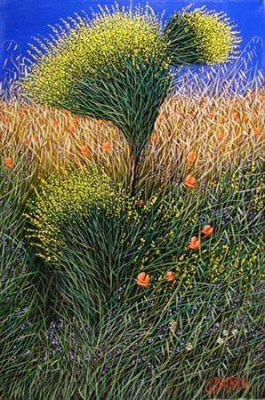 Daurea Giovanni " notturno con ginestre " olio su tela cm 40 x 60 anno 2008...