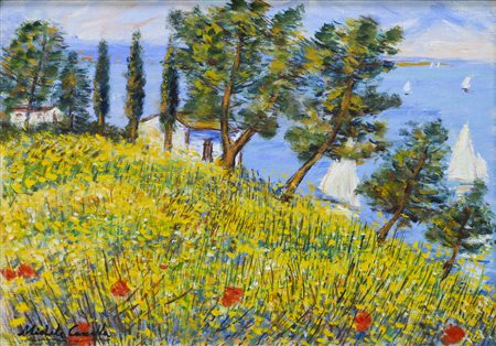 CASCELLA MICHELE (1892 - 1989) - Ginestre sul promontorio.