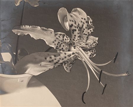 Italo Bertoglio (1871-1963)  - Lilium, 1930s
