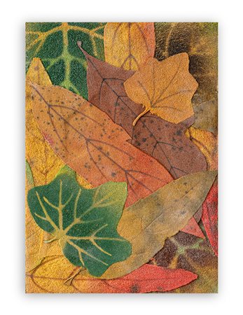 PIERO GILARDI (1942) - Foglie, 1978