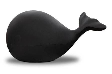 CARLO RIZZETTI (1969) - The rainbow whale