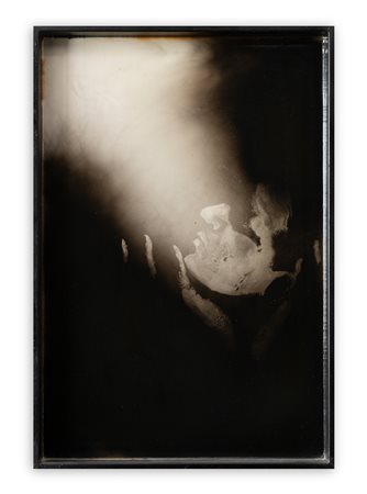 GIOVANNI MANFREDINI (1963) - Natura morta, 2006
