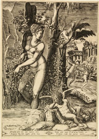 Gaspare Osello (detto Patavinus) (1536-1560/80 ca.). Venere nasce dalle...