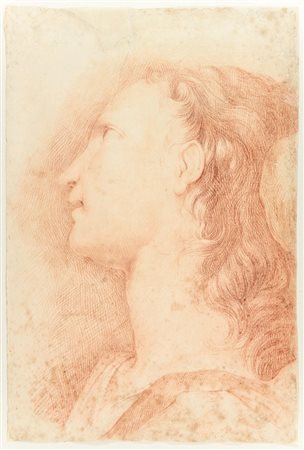 Francesco Solimena (1657-1747) [attribuito a]. Testa di angelo. Fine XVII...