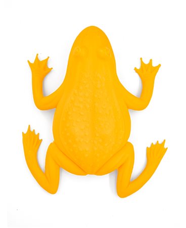 CRACKING ART GROUP (1983) - Rana