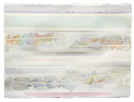 GUARNERI Riccardo, Movimenti orizzontali