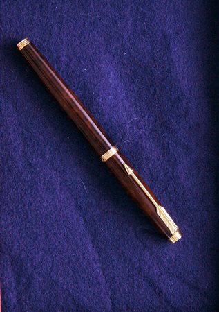 Parker N8610 stilografica - tartaruga marrone e particolari dorati