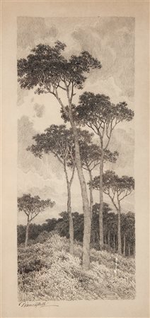 Giovanni Piancastelli Pineta