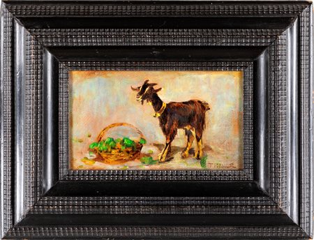 Tito Pellicciotti Capretta