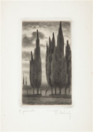 Francesco Vitalini Cipressi