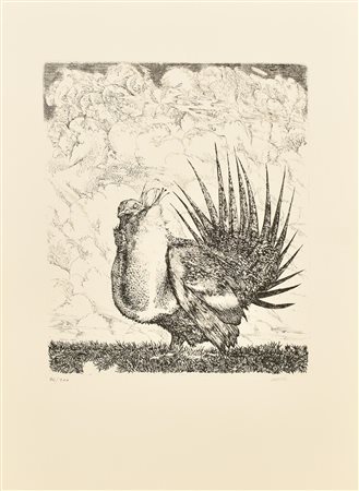 Abacuc VOLATILE incisione su carta, battuta cm 31x24,5, su foglio cm 50x35;...