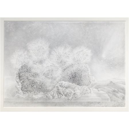 Roberto Stelluti (Fabriano 13/09/1951)  - La cometa, 2004