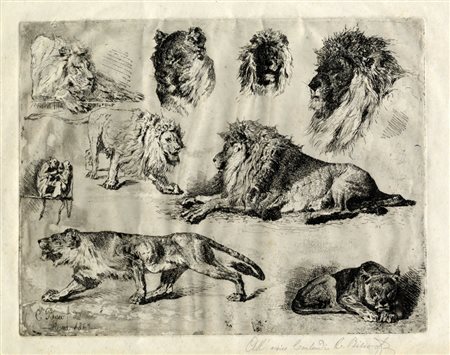 Cesare Biseo, Studio di leoni. 1867.