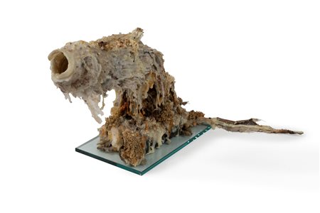 Gabriele Silli (Roma 1982)  - Senza titolo, 2018