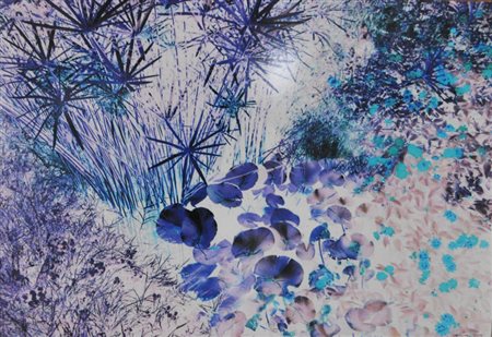 CANTINI CARLO Nel bosco, 2006 fotografia a colori cm. 80x120 firma e data in...