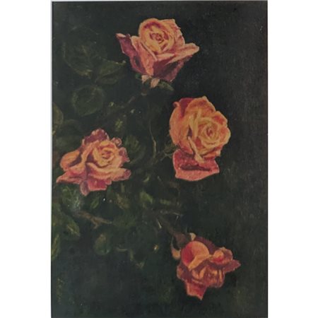 KUTTER J. - ROSETO 25X35 OLIO SU TELA