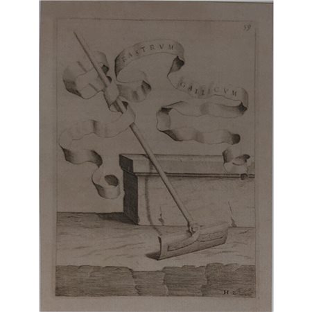 ANONIMO - RASTRUM GALLICUM 22X16 ACQUAFORTE