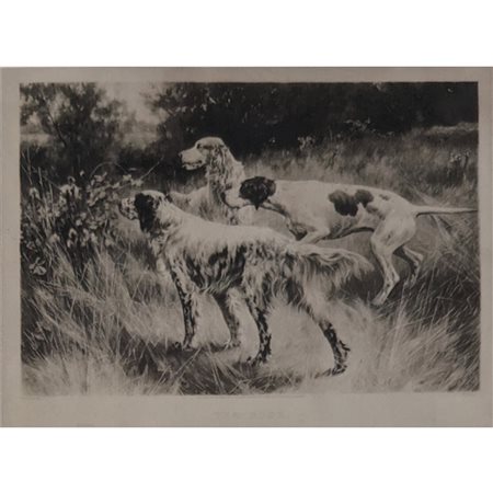 BLINKS - THE ROSE 58X81 PRINTED BY THOMAS BLINKS (95) - PRINTED BY T. ROSS &...